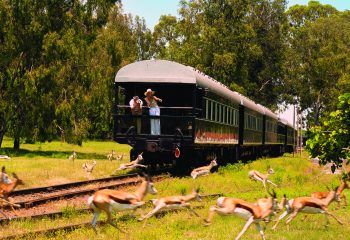Rovos Rail Pride of Africa